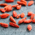 Goji çileklerinde gözler ve cilt için C vitamini